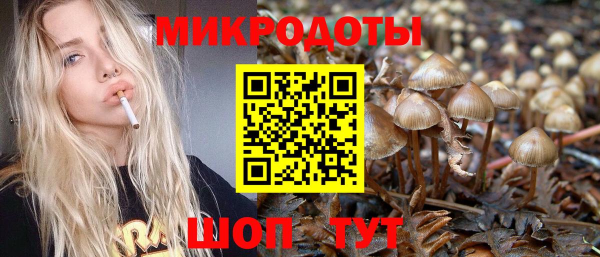 Бутурлиновка  Галлюциногенные грибы мухоморы  наркошоп  Вход с VPN 